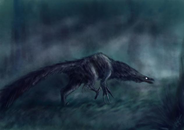 Creature of the night