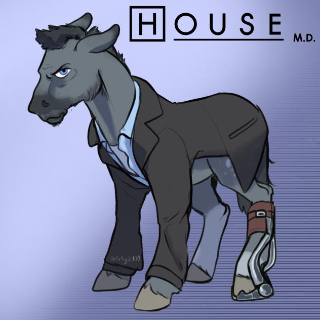 Dr house pony