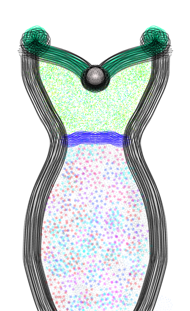 colorful - ibisPaint