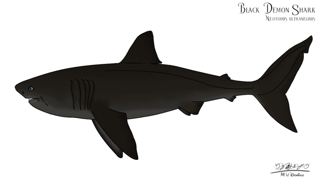 Black Demon Shark