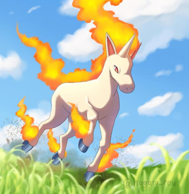ギャロップ🔥
