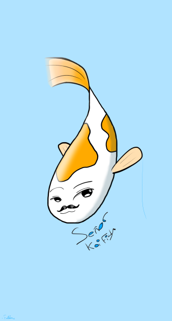 Mr. Koi