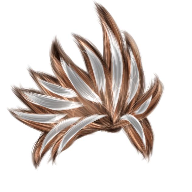 random hairstyle 254