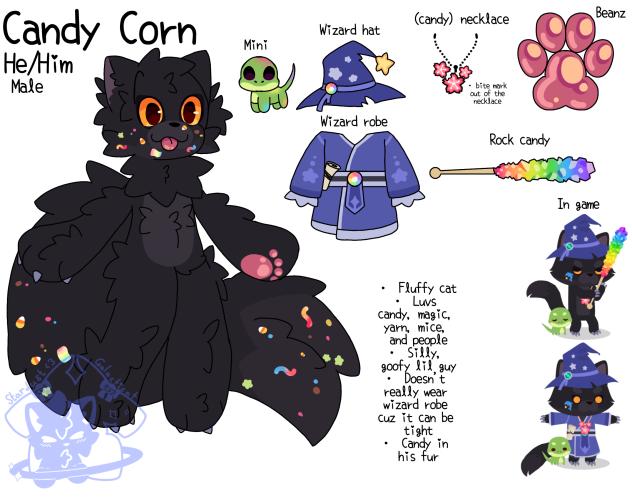 Sar wizard kitty ref sheet