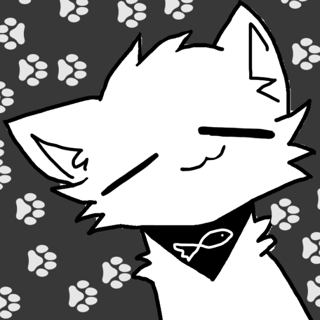 котик