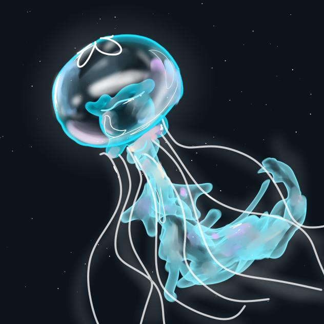 🪼jellyfish🪼
