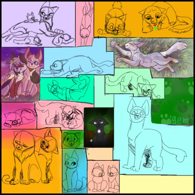Cat collab