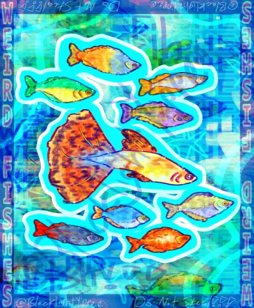 🐟!FISH!🐟