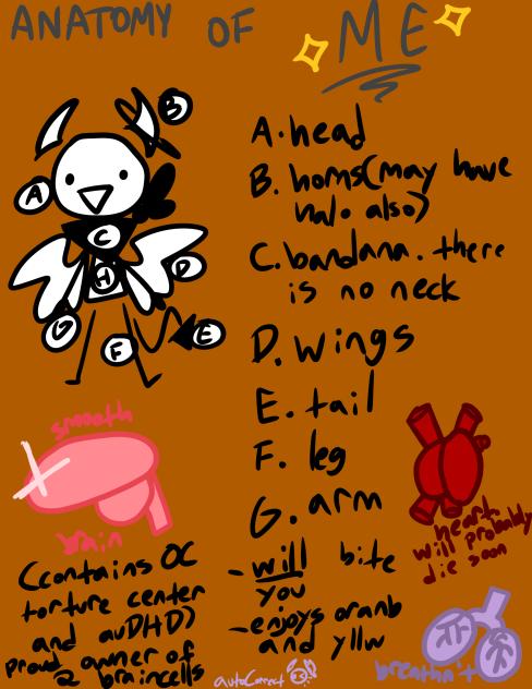 Anatomy of Me