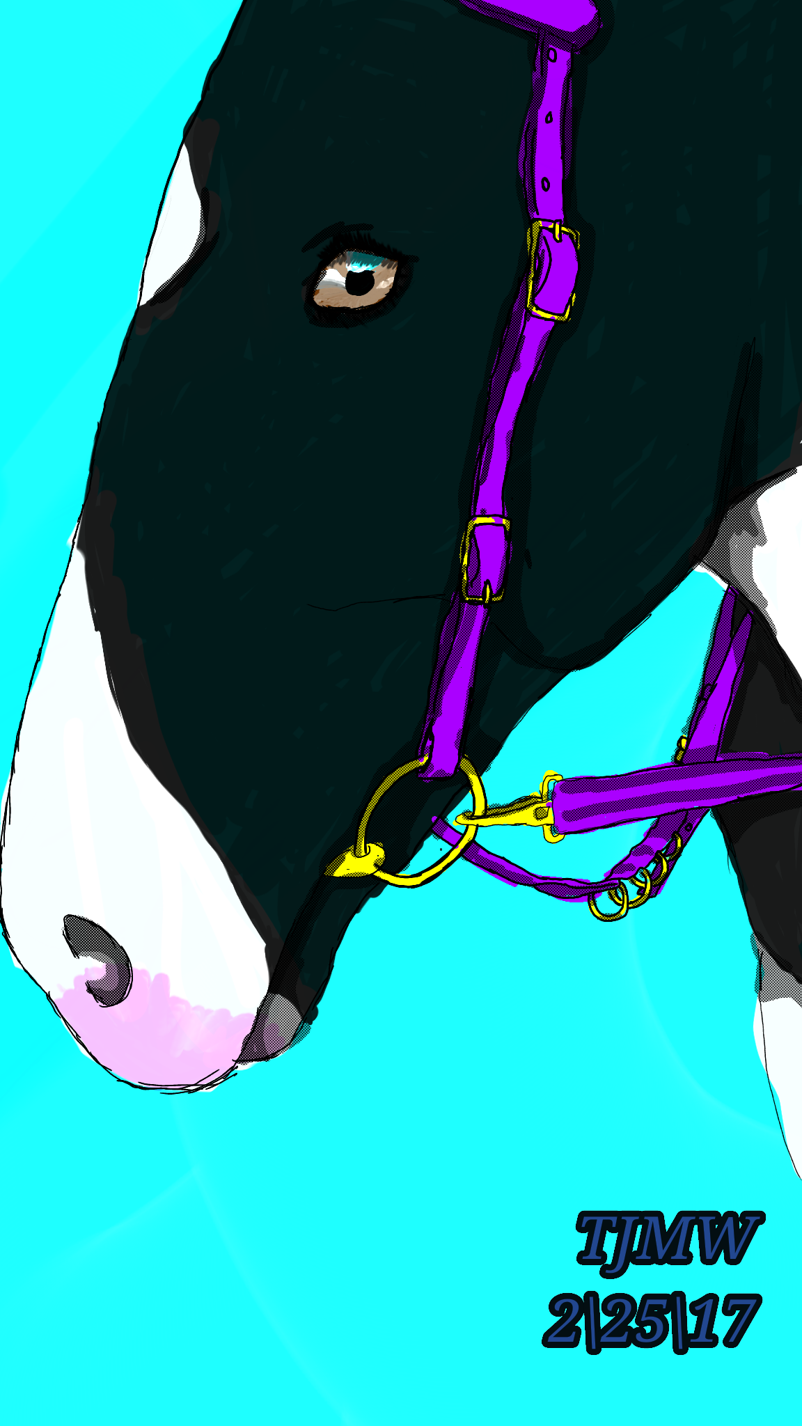 horse - ibisPaint