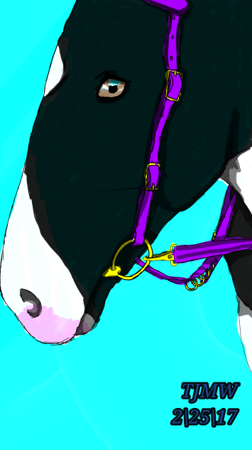 horse - ibisPaint