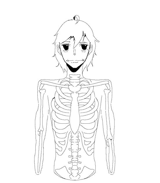 trace of a sketch