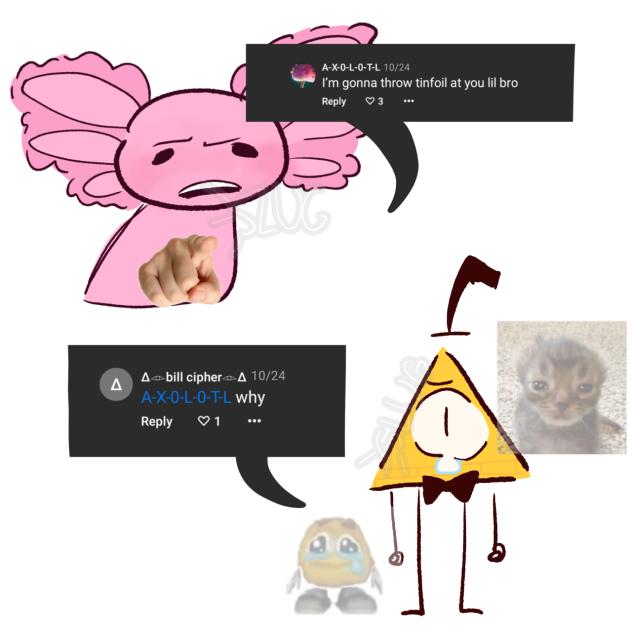 😿