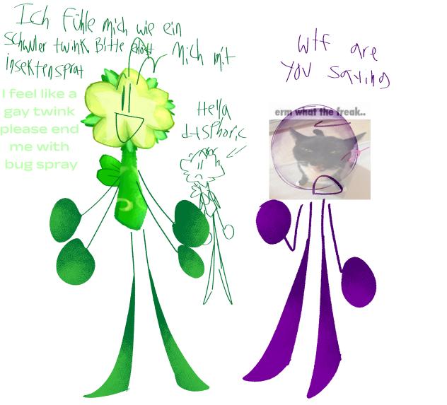 owwie gender dysphoria bomb