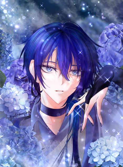 アジサイ(수국)