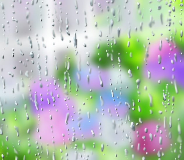 窓越しの紫陽花と雨