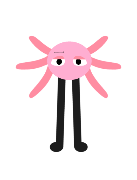 Kinitopet