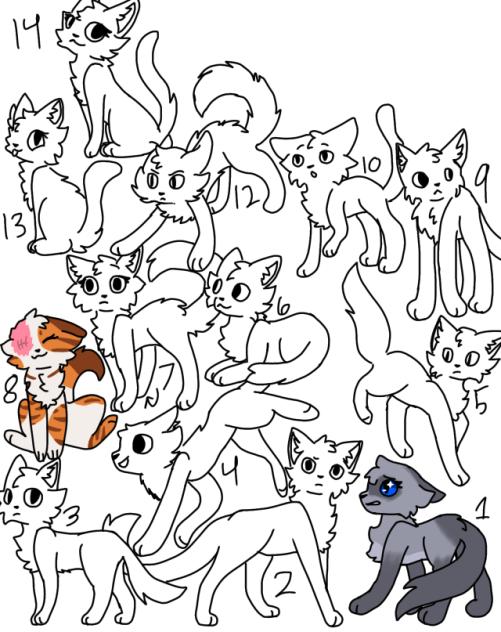 How I think warrior cats look!!!