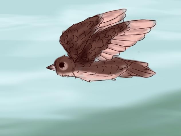 flying bird