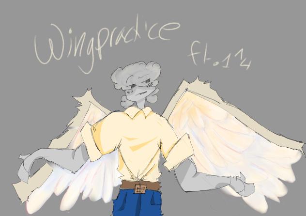 Wing practice ft.1x1x1x1