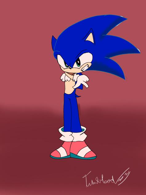 Sonic the hedgehog in PASWG Art style