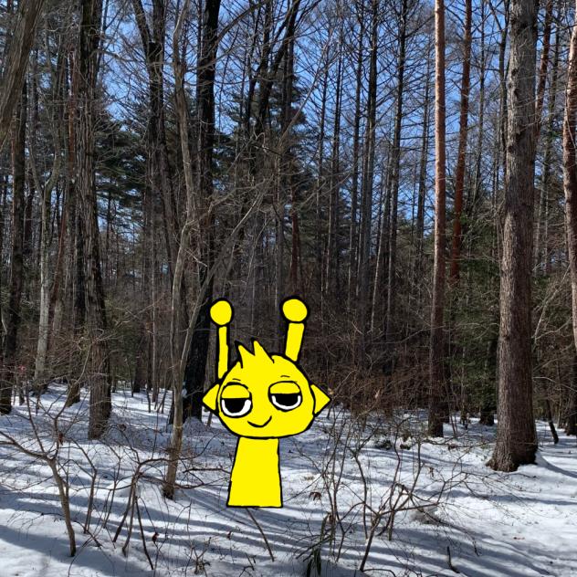 野生のサイモン