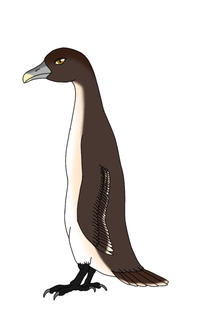 Brown Pengull