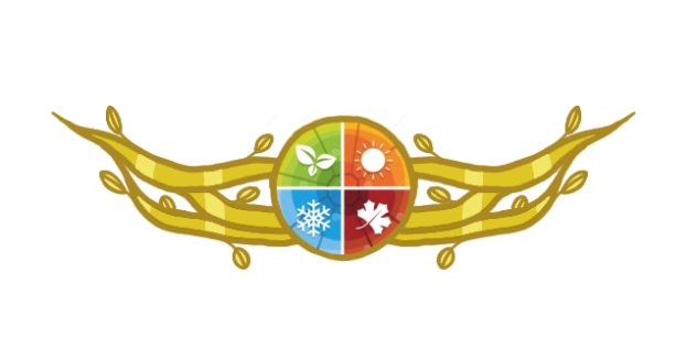 Moonbeam winter's element of harmony