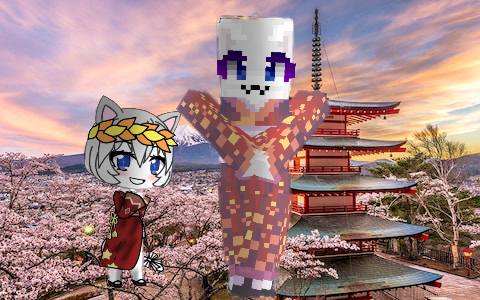 white cat in kimono