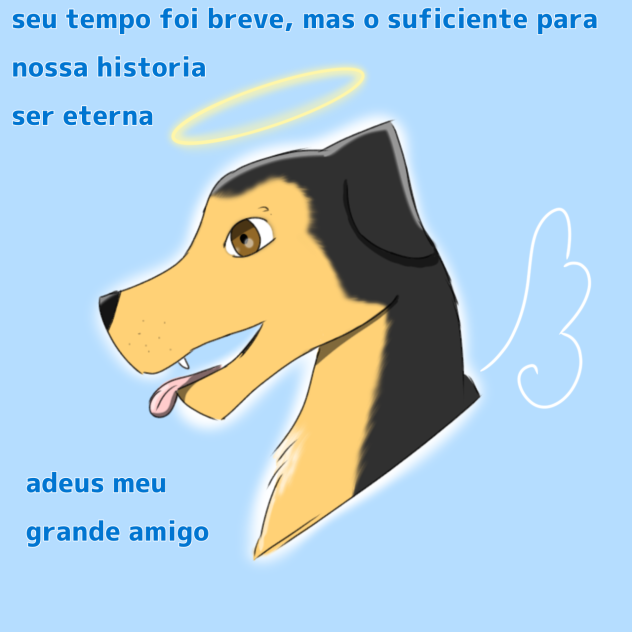 luto pelo meu cachorro 🖤