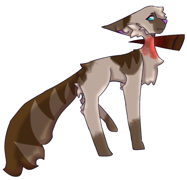 hawkfrost =3