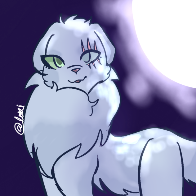 Warrior cats I guess - ibisPaint