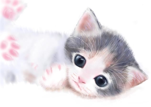 子猫