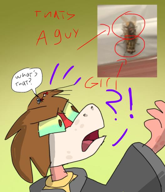 My flies are having maggots