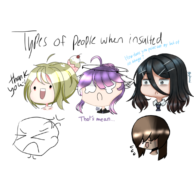 Types of people when insulted collab