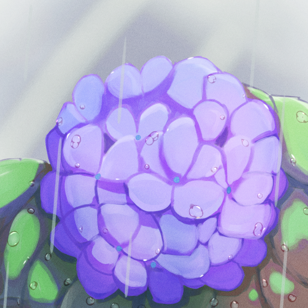 紫陽花