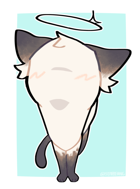 sploinko