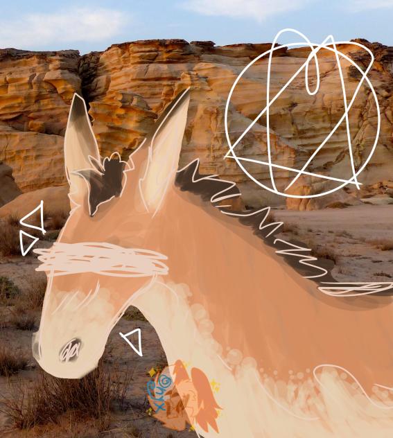 ⭐️Persian Onager⭐️