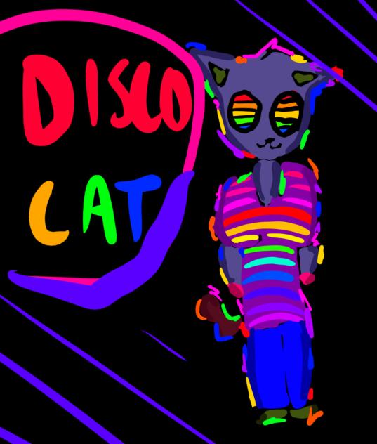 Disco cat