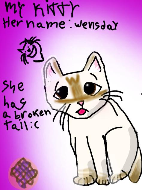 KITTY ☆ XD