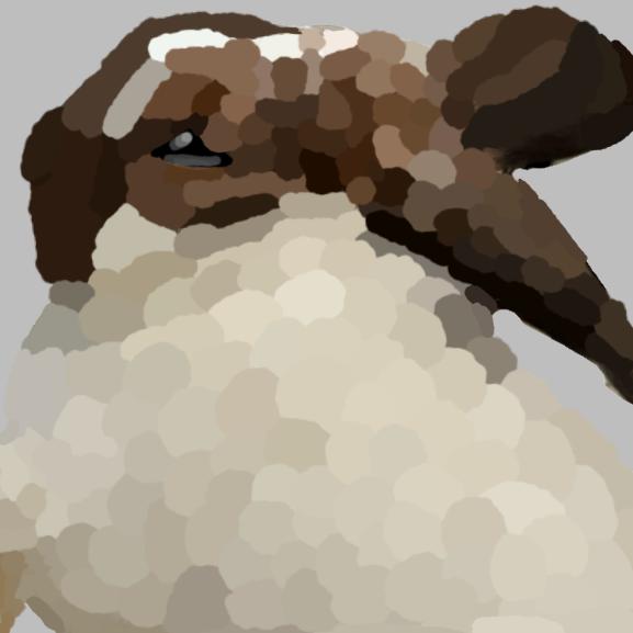 my baby bun bun
