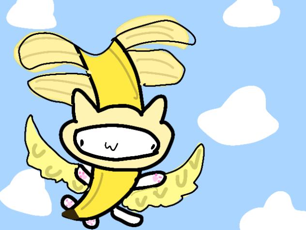 cat goes flyy