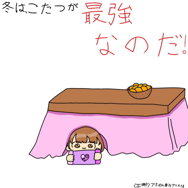 冬は、こたつが最強なのだ！！