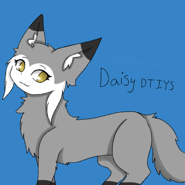Daisy DTIYS