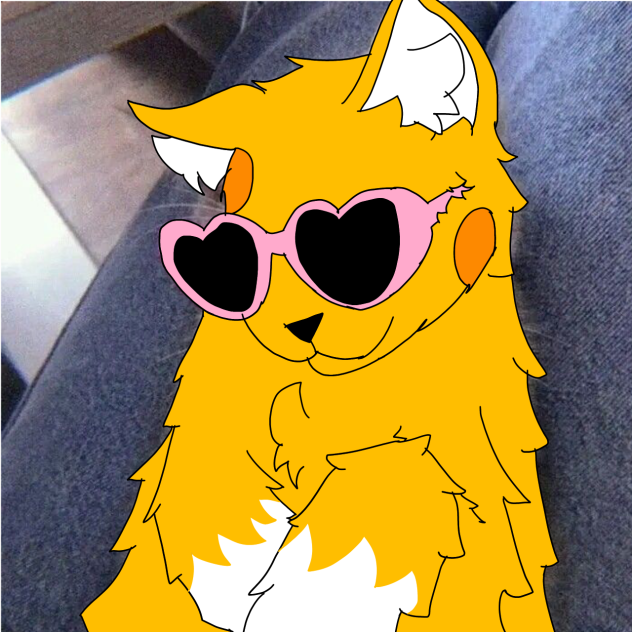 Im a cat