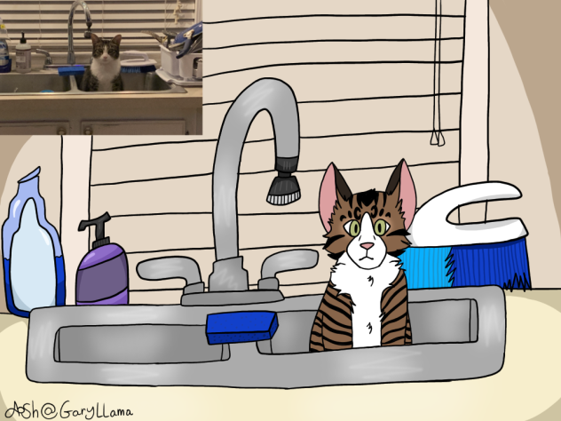 My kitty cat - ibisPaint