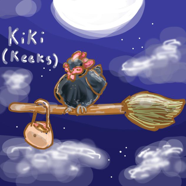 Drawing my chickens Kiki