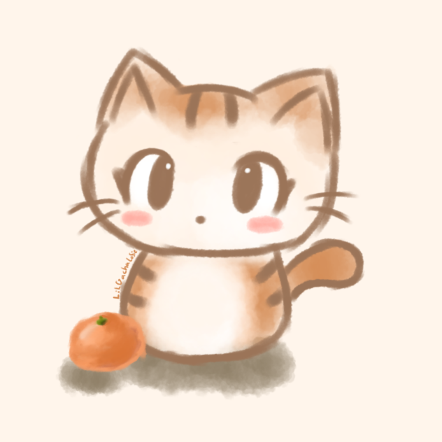 🍞🐱🍊