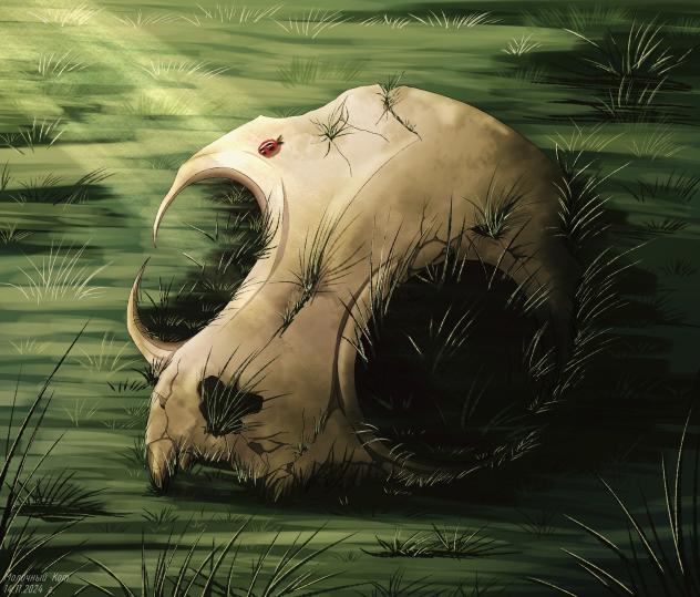 Skull