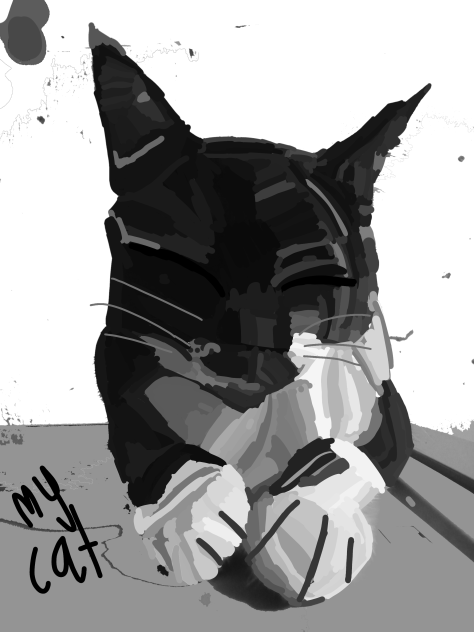 My cat untitled133